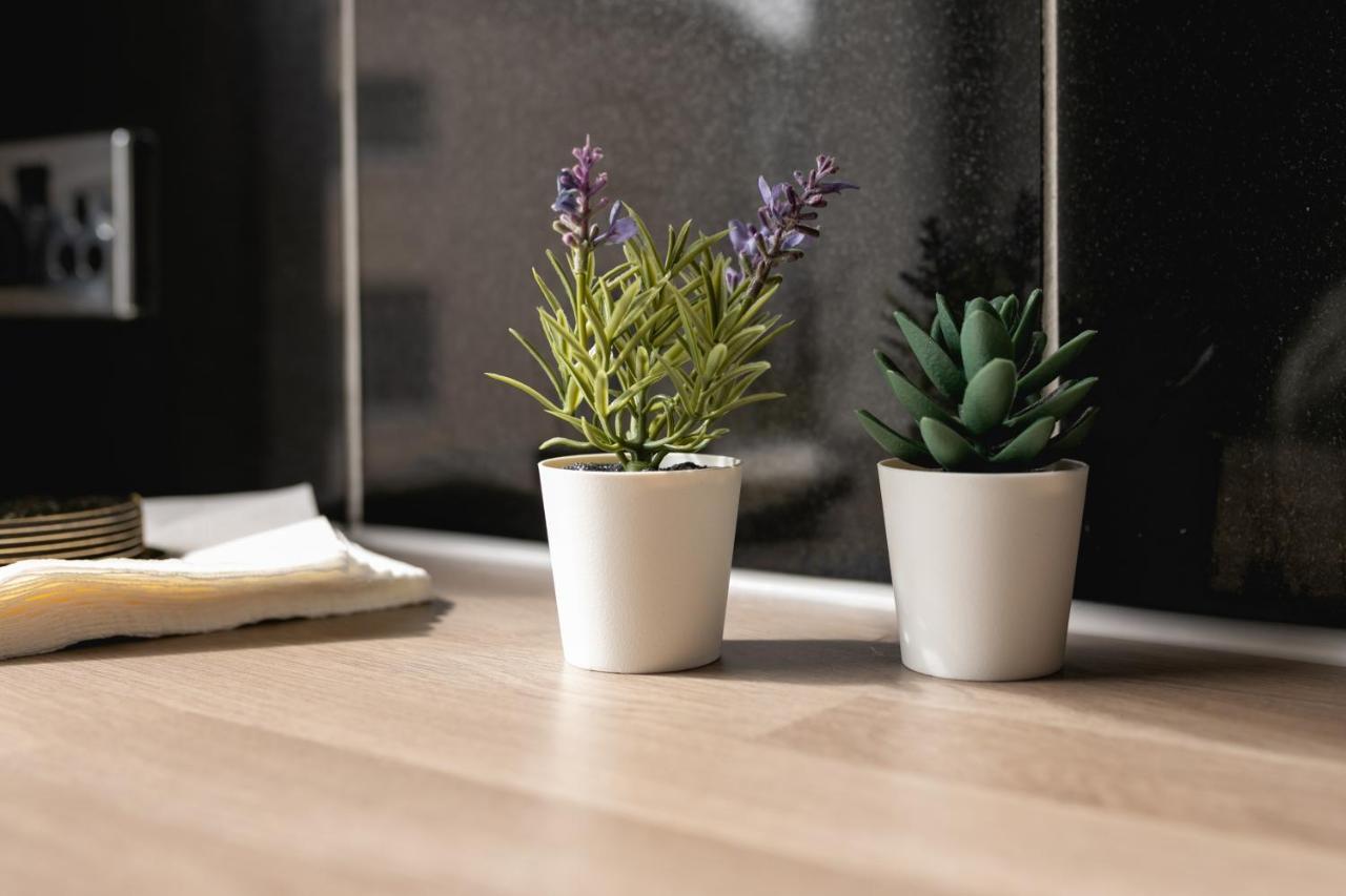 Brighton Lanes Cosy One Bedroom Apartment 외부 사진
